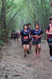 BIB: 2785, 278
                            <button type="button" onclick="openModal(4128619)" class="btn btn-primary btn-sm float-right btn-popup" data-toggle="modal" data-target=".modal-high-quality">
                        <i class="fas fa-shopping-cart"></i> Add to Cart
                    </button>
                                            <button type="button" onclick="isThisMe(4128619, true)" class="btn btn-success btn-sm float-right btn-popup btn-isme hidden" data-toggle="tooltip" data-placement="bottom" title="นี่คือรูปของคุณใช่ไหม คลิกที่นี่เพื่อเอาเข้าอัลบั้ม">
                        <i class="fas fa-plus"></i> Add to album
                    </button>
                    <button type="button" onclick="isThisMe(4128619, false)" class="btn btn-warning btn-sm float-right btn-popup btn-isnotme hidden">
                        <i class="fas fa-ban"></i> Remove from album
                    </button>